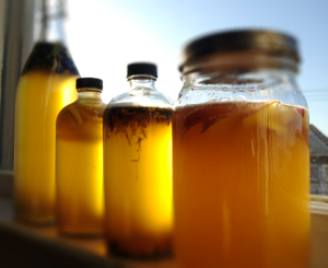 Kombucha Kimchi Kefir